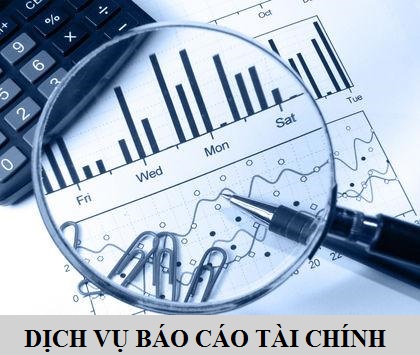 Dịch vụ báo cáo tài chính - Chi Nhánh - Công Ty CP Đại Lý Thuế Viện Kế Toán Việt Nam